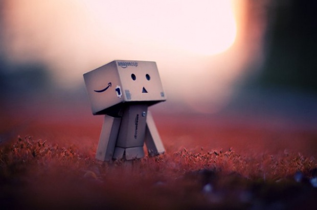  WallE looked up into the sky and wished for Danbo's love 