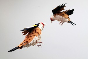 bird-4