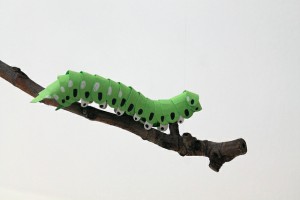 bug-1