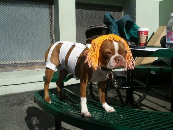 Leeloo-Costume