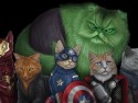 catvengers1