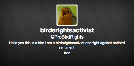 birdrights.png