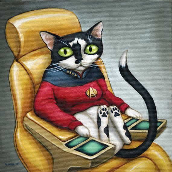 Star Trek Cat