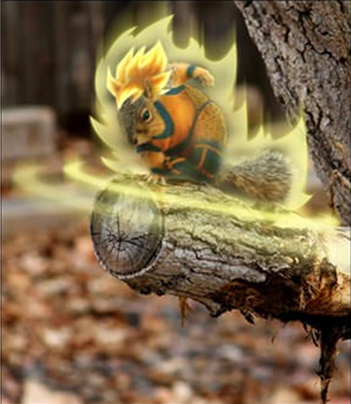 Goku... the squirrel.