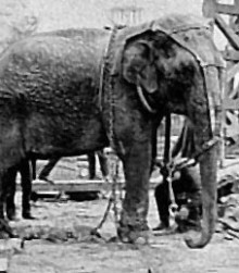 Thanks a lot, Edison