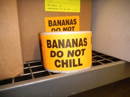 Bananas do NOT chill