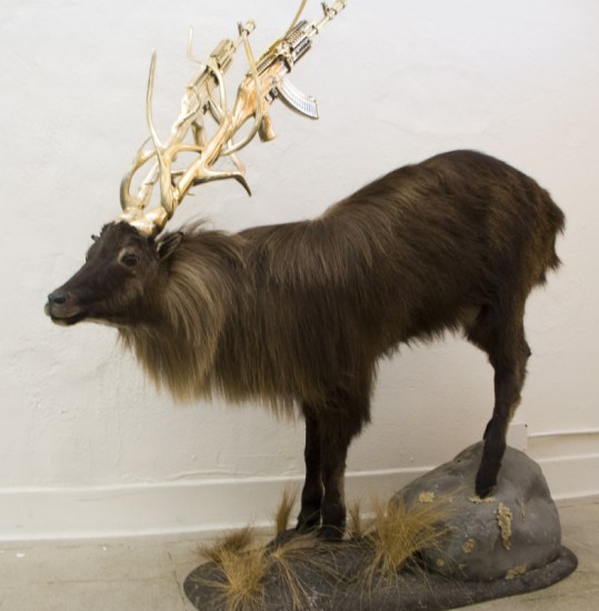 Tahr