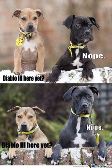 tumblr_lwkkp8ItPB1qb5gkjo1_400