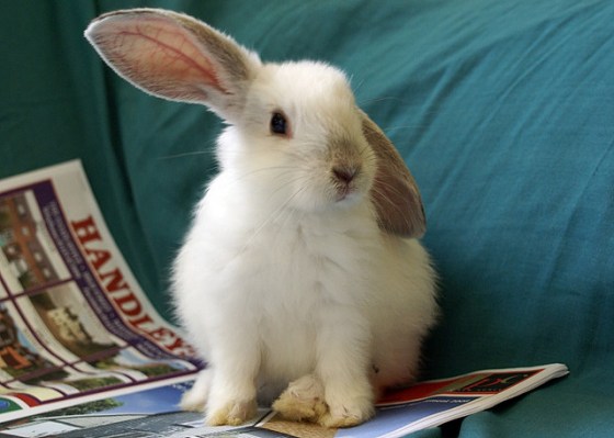 2704328102_6b936e22b3_z