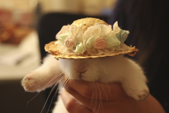 6275054435_6a01f1daa9_z