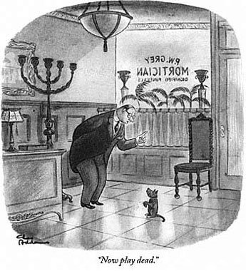 charles-addams-now-play-dead