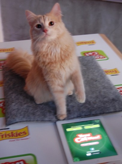 enhanced-buzz-2416-1331528884-44