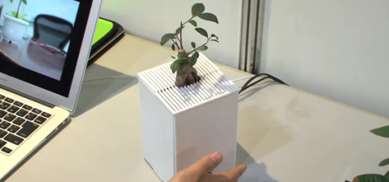 interactive plants
