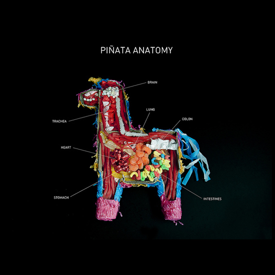 pinataanatomy_550
