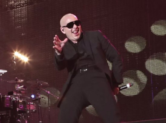 pitbull