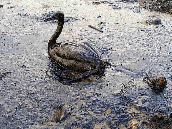 Oil Spill