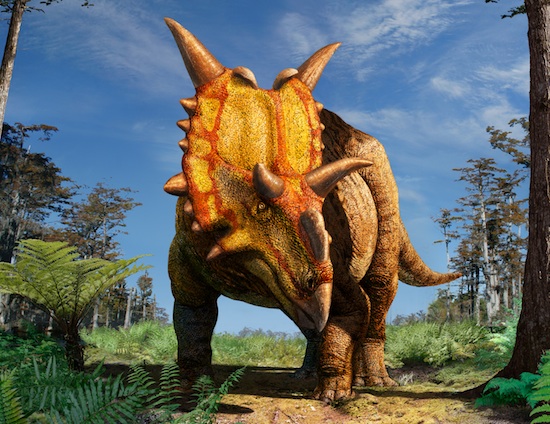 Xenoceratops