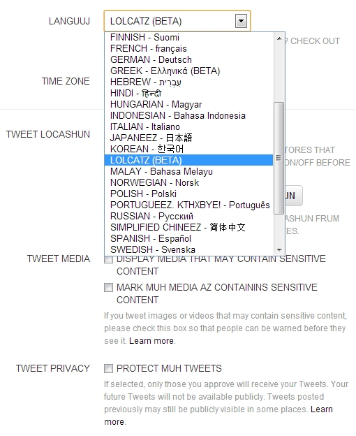 lolcattwitterexample