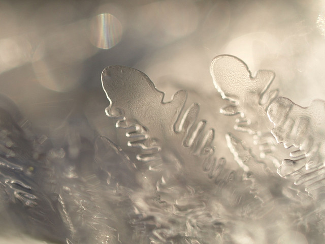 Ice Crystals