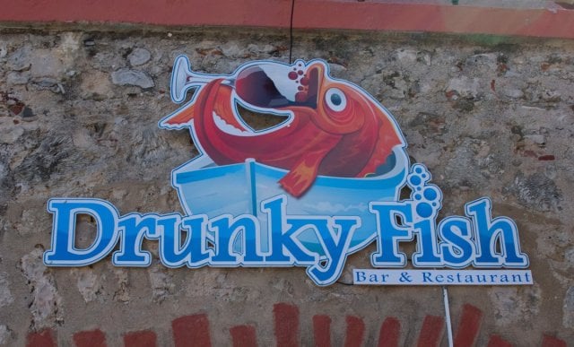 Drunky Fish