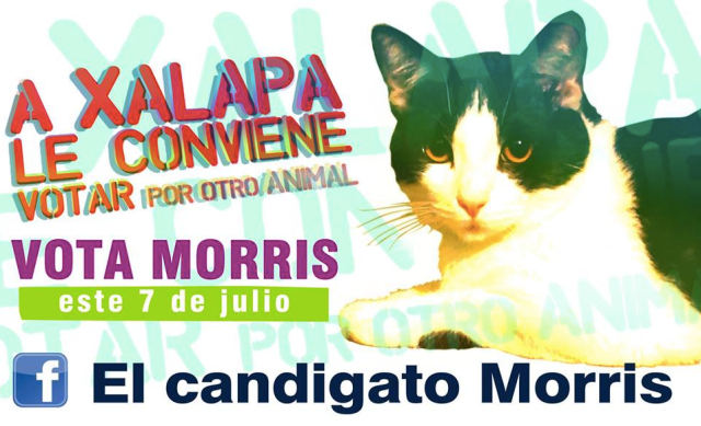 Screen Shot 2013-06-14 at 1.46.47 PM