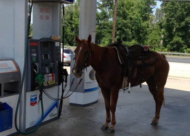 Gas Horse