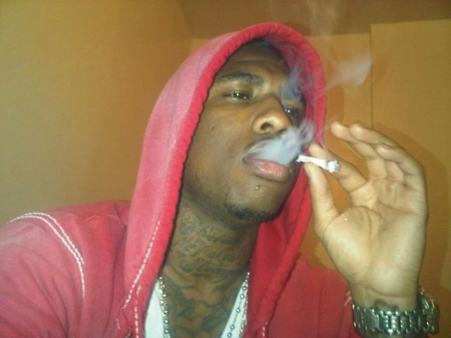 309821_267888536569658_1774799396_n