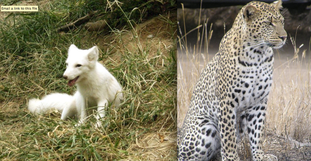 Screen Shot 2013-08-15 at 1.54.46 PM