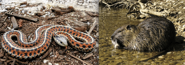 Screen Shot 2013-08-15 at 1.56.57 PM