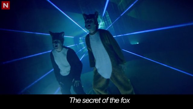 Fox Screenshots