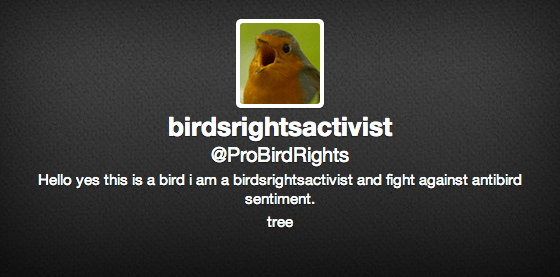 birdrights