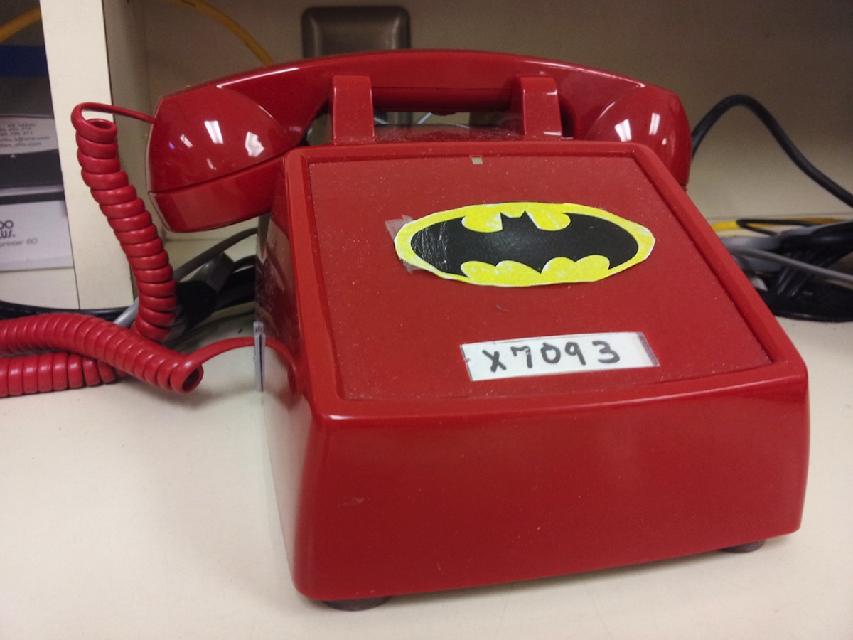 Ingenious Bats Use Curled Leaves as Their Own Batphones The Mary Sue