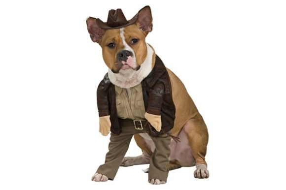 Indiana-Jones-Pet-Costume_22276-l