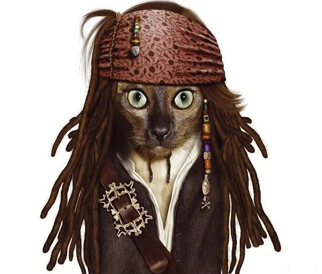 Captain Cat Sparrow