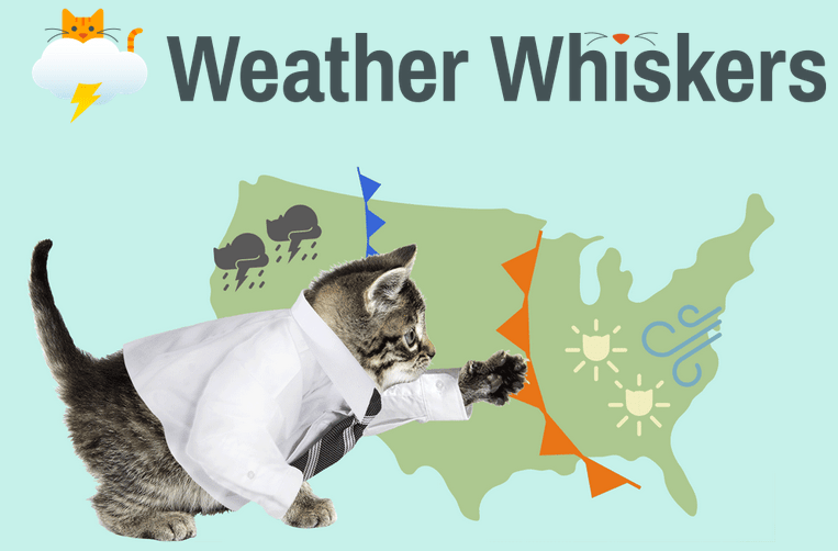 weather whiskers