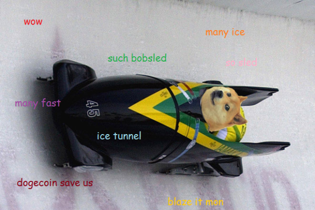 dogesled