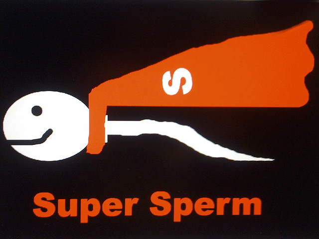 sperm1