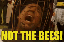 nic cage bee gif