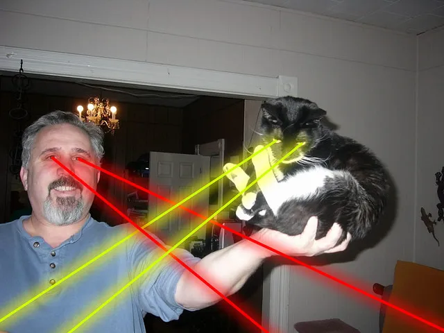 lasercats1