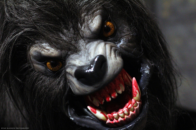 11431035736_bc6d59d761_z