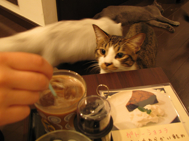 3632829586_4ff009482c_z