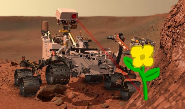 Flower on Mars