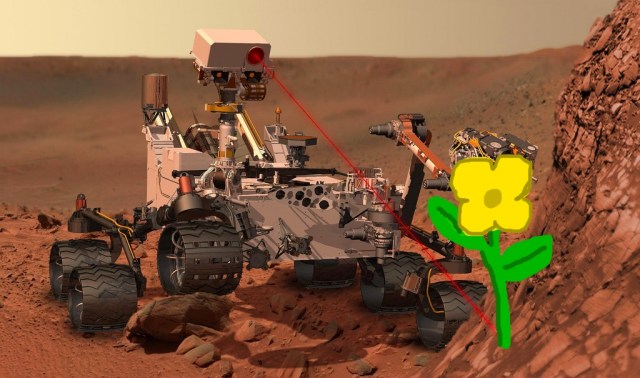 Flower on Mars