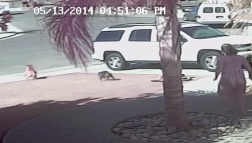 Screen Shot 2014-05-14 at 3.34.28 PM