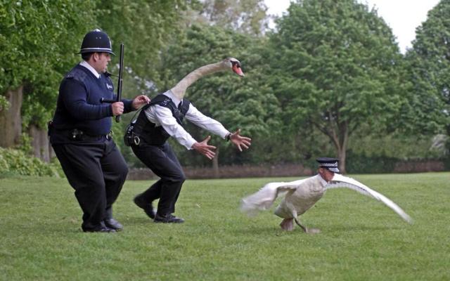 hot fuzz