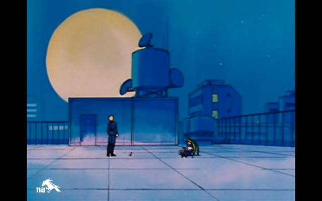 70 WHO THROWS A ROSE?