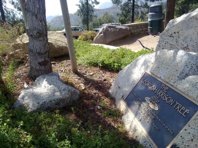 George Harrison Tree