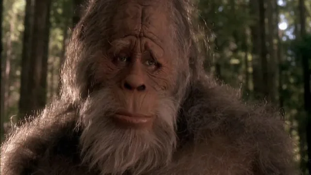 Bigfoot and Yeti Study Match DNA to Early Bear Ancestor | The Mary Sue
