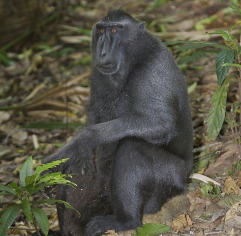 615978637_09c771f266_o