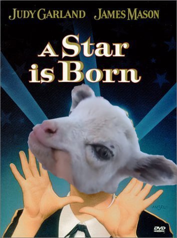 a star is born geep